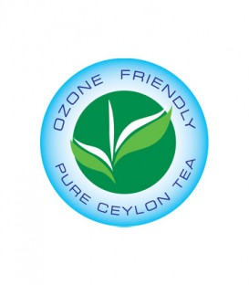 Mint Fizz Black Tea - Hyson Tea Classic Collection